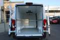 Fiat Ducato Ducato Maxi L4H2 140 Frischdienstkühlung bis 0G... Weiß - thumbnail 20