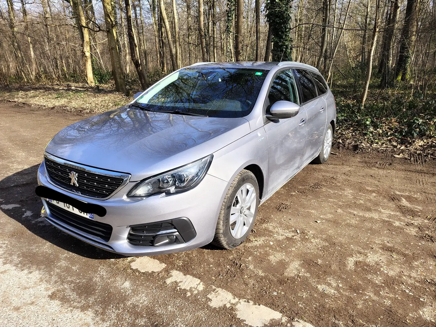 Peugeot 308 308 SW PureTech 110ch S Argent - 2