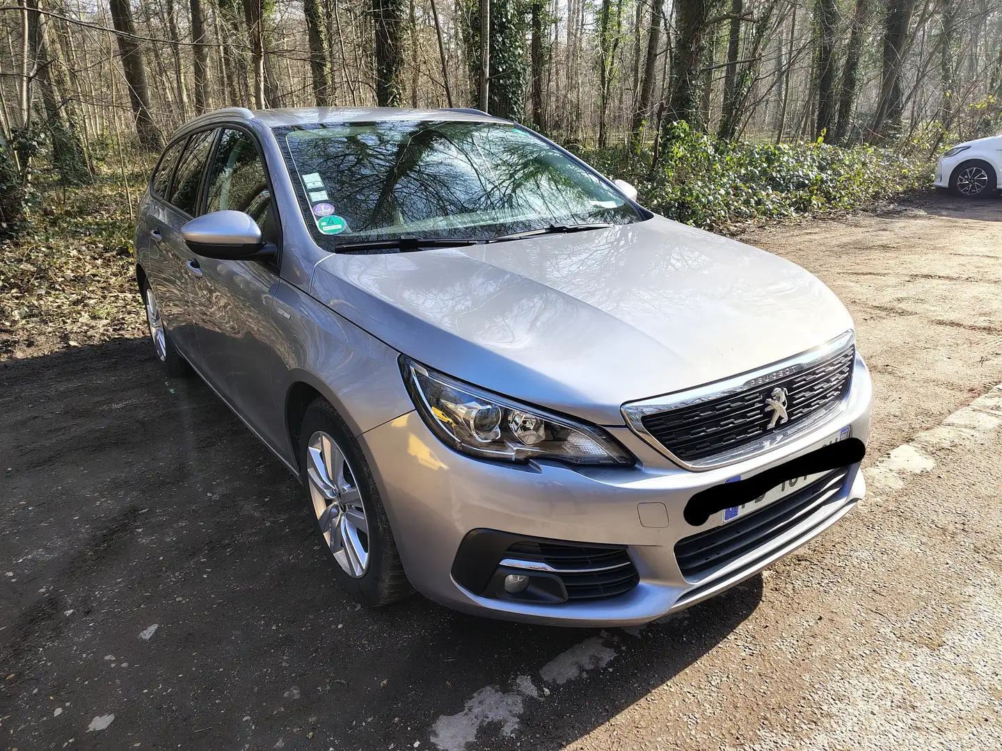 Peugeot 308 308 SW PureTech 110ch S Argent - 1
