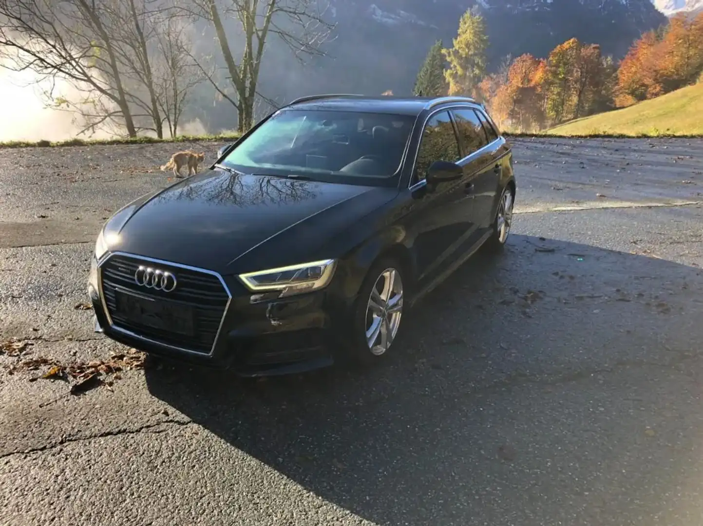 Audi A3 SB 2,0 TDI quattro sport Schwarz - 2