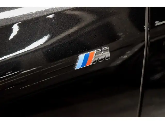 BMW X6 view 26