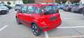 Fiat Panda Cross MY21 FireFly RED Hybrid Rot - thumbnail 4