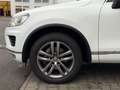 Volkswagen Touareg 3.0 V6 TDI 4Motion Leder AHK 3,5t Wit - thumbnail 2