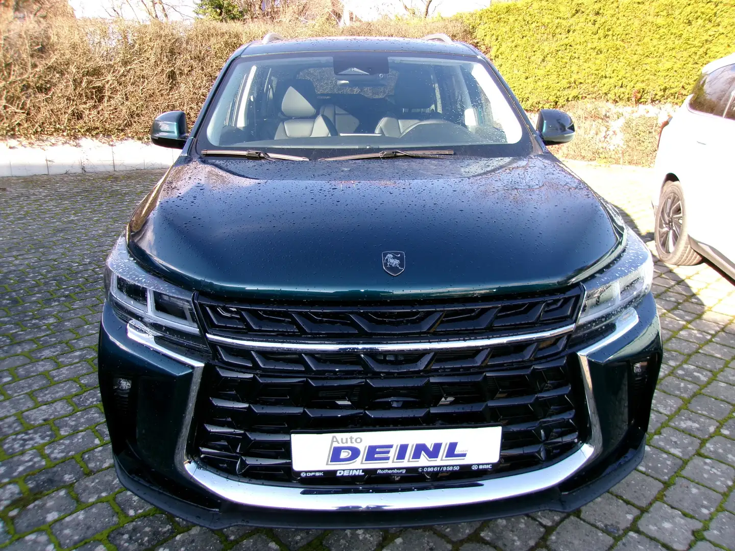 Forthing DFM Forthing 3 / 0 %-Finanzierung Vert - 2