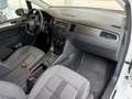 Volkswagen Golf Sportsvan VII Allstar,DSG,Led,Navi,SHZ,ACC, Biały - thumbnail 13
