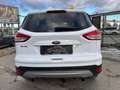 Ford Kuga 2,0 TDCi Titanium mit Sitzheizung 2ZonenKlima Weiß - thumbnail 2