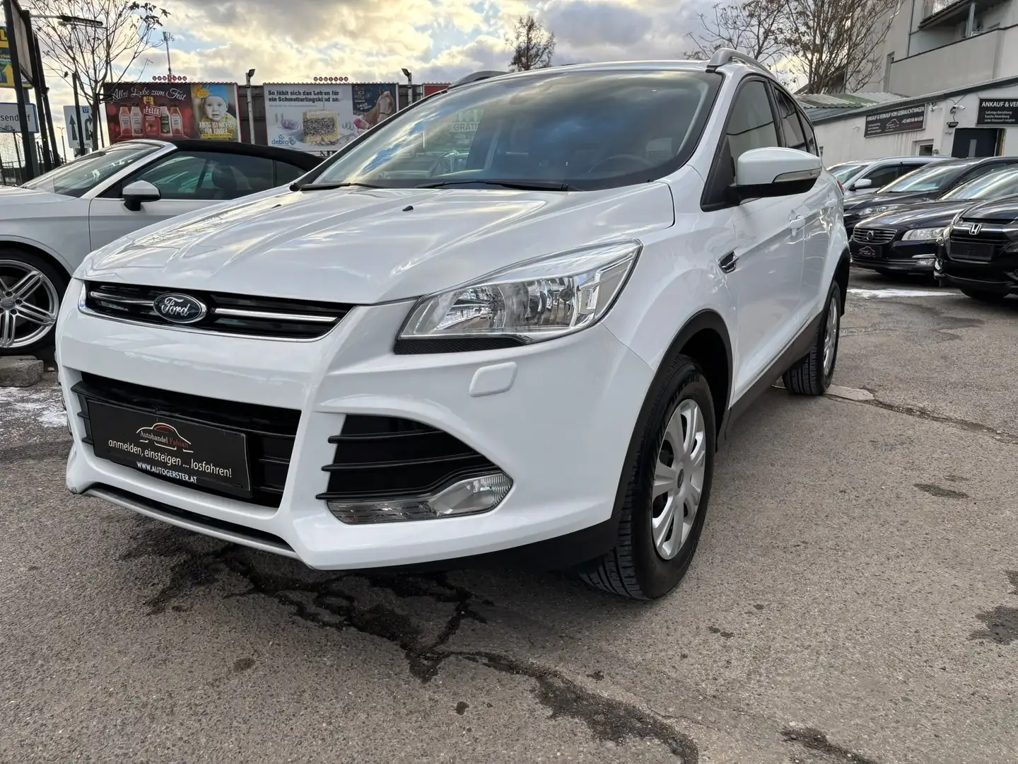 Ford Kuga 2,0 TDCi Titanium mit Sitzheizung 2ZonenKlima Weiß - 1