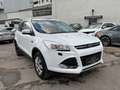 Ford Kuga 2,0 TDCi Titanium mit Sitzheizung 2ZonenKlima Weiß - thumbnail 17