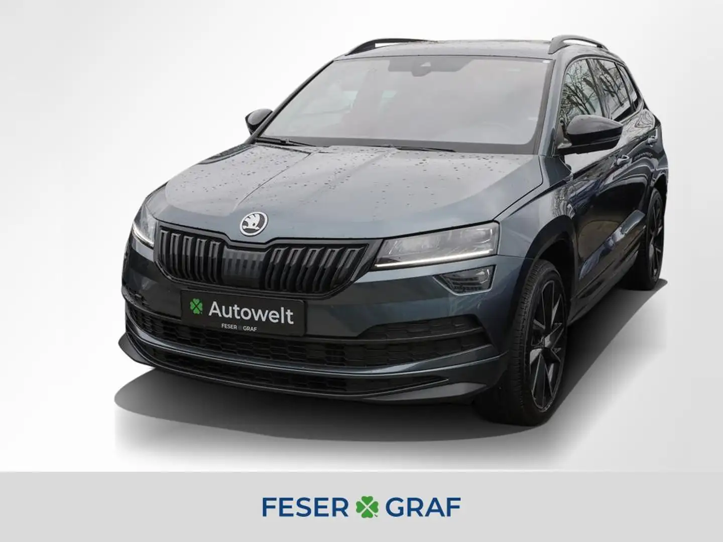 Skoda Karoq 2.0 TDI 4x4 Sportline DSG ACC AHK Nav RüKa Grau - 1