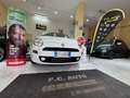 Fiat Punto Punto III 2012 5p 1.3 mjt II 16v Lounge 75cv my13 Bianco - thumbnail 1