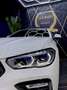 BMW X6 xDrive 30dA Blanc - thumbnail 10