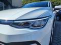 Volkswagen Golf 2.0 TDI 150 CV DSG SCR Life Weiß - thumbnail 12