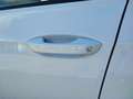 Volkswagen Golf 2.0 TDI 150 CV DSG SCR Life Weiß - thumbnail 14