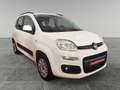 Fiat Panda 1.2 Trussardi 4x2 Blanc - thumbnail 3