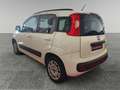 Fiat Panda 1.2 Trussardi 4x2 Blanc - thumbnail 4