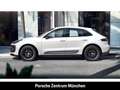 Porsche Macan T Rückfahrkamera Panoramadach LED Leder Weiß - thumbnail 2