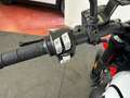 Ducati Scrambler 800 SCRAMBLER 800 MOTARD Bianco - thumbnail 6