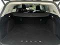 Ford Focus 1,5 EcoBlue Titanium Aut.,*LED, B&O, Standhzg, AHK Weiß - thumbnail 16