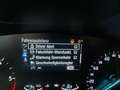 Ford Focus 1,5 EcoBlue Titanium Aut.,*LED, B&O, Standhzg, AHK Weiß - thumbnail 44