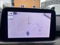 Ford Focus 1,5 EcoBlue Titanium Aut.,*LED, B&O, Standhzg, AHK Weiß - thumbnail 39