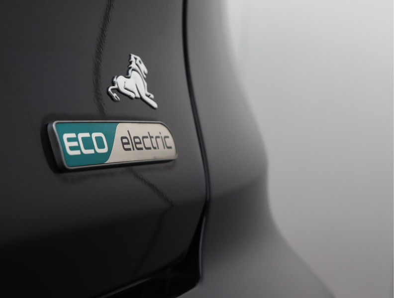 Kia e-Niro ExecutiveLine 64 kWh | Camera | Keyless | ACC | Or — photo 17