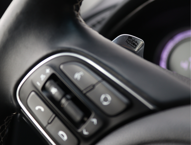 Kia e-Niro ExecutiveLine 64 kWh | Camera | Keyless | ACC | Or — photo 38