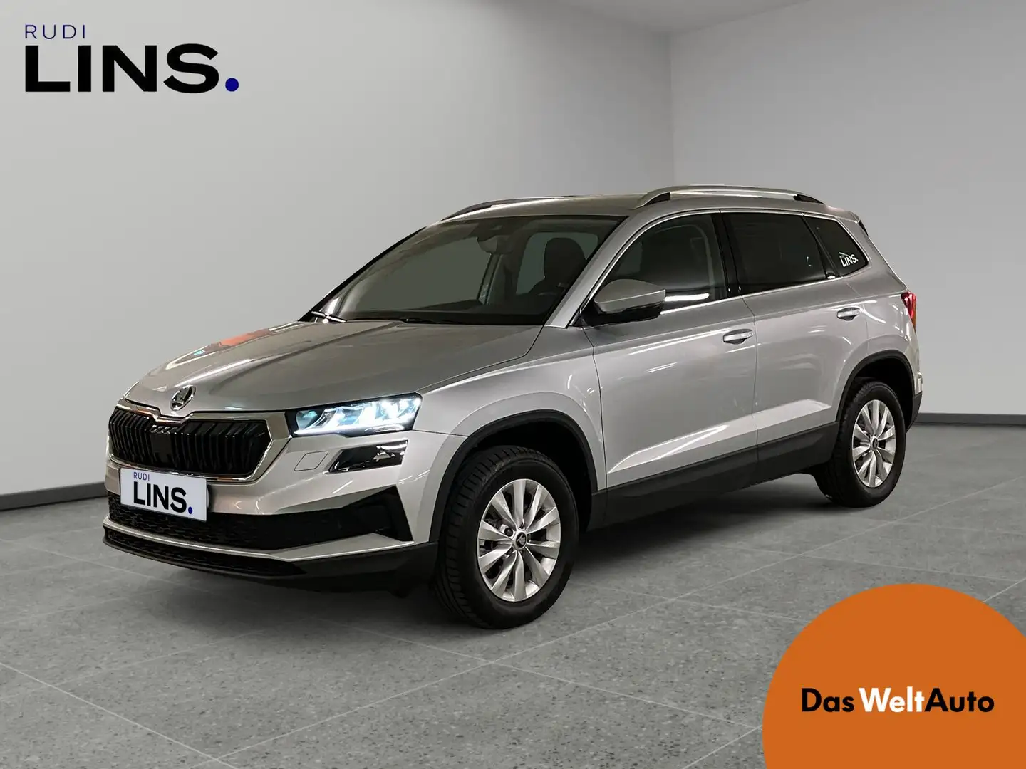 Skoda Karoq 4x4 Selection TDI DSG Zilver - 1