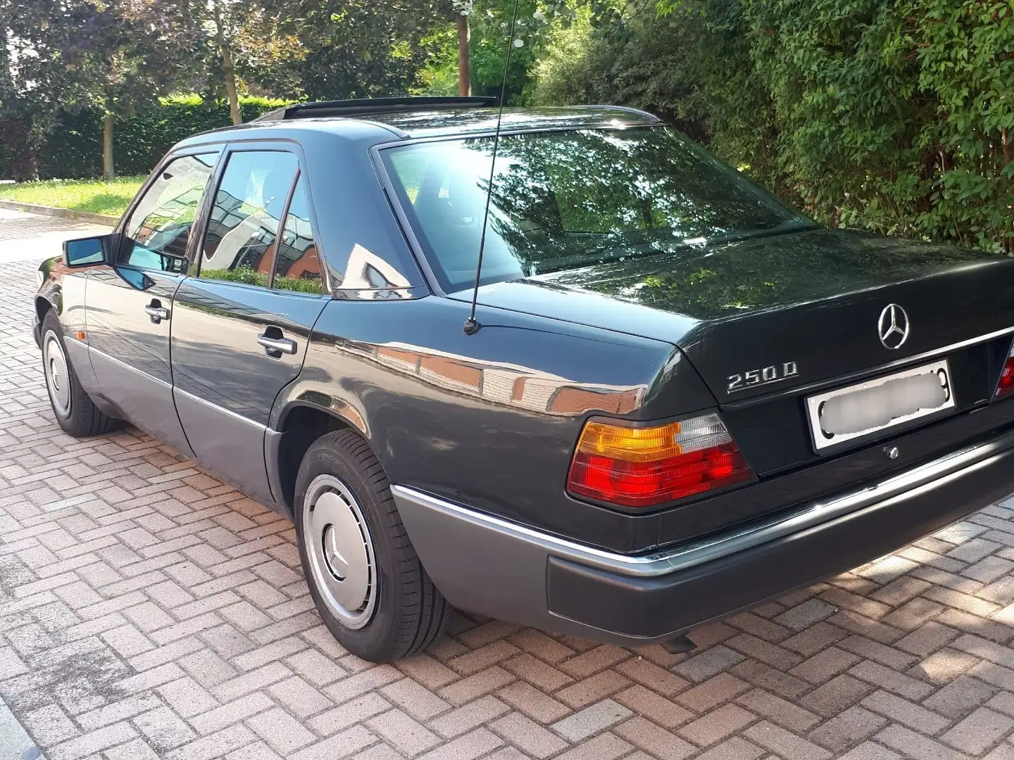 Mercedes-Benz 250 Diesel 5 cilindri aspirato - 1