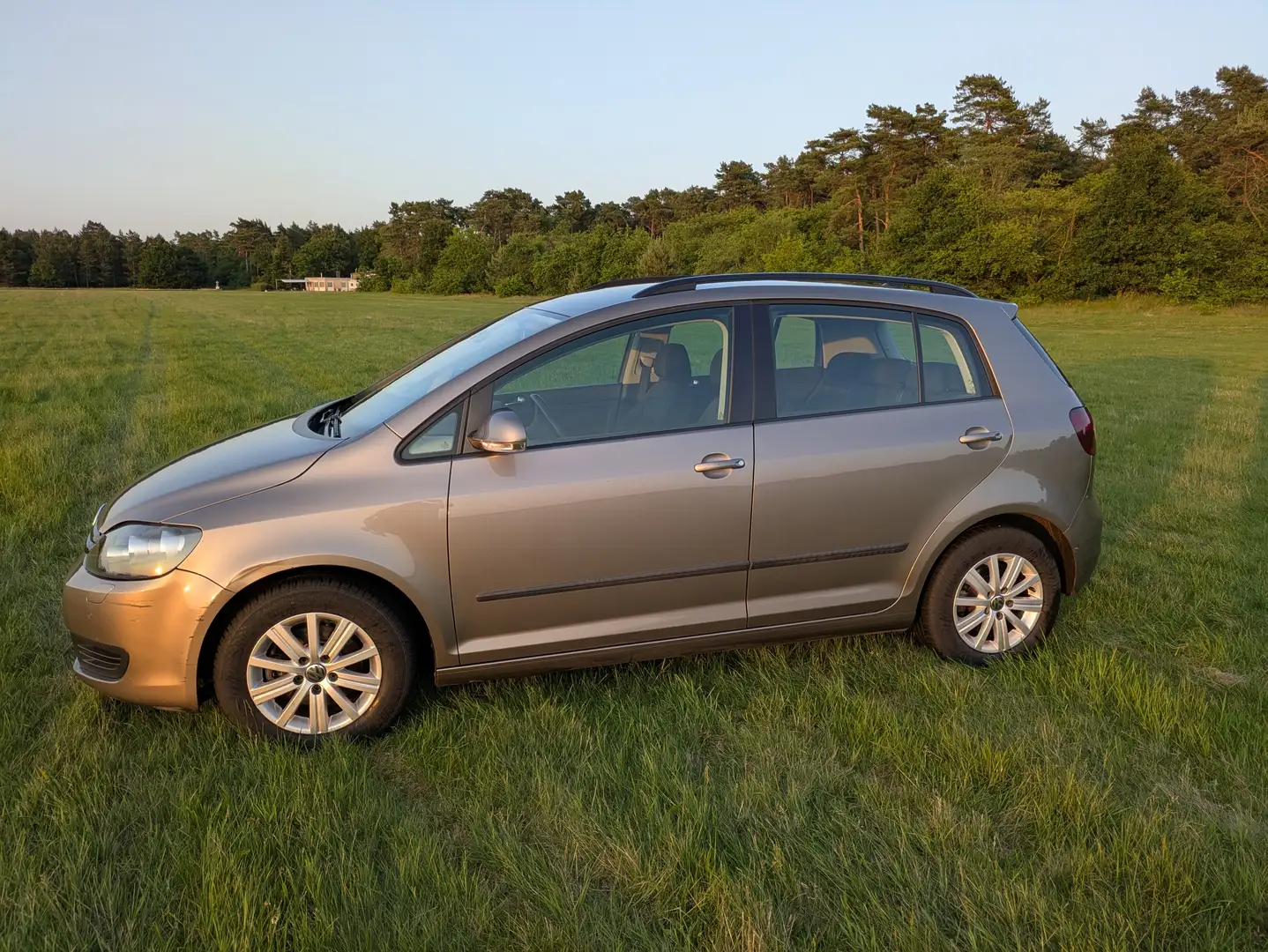 Volkswagen Golf Plus Golf VI Plus 1.2 TSI Life Gris - 2
