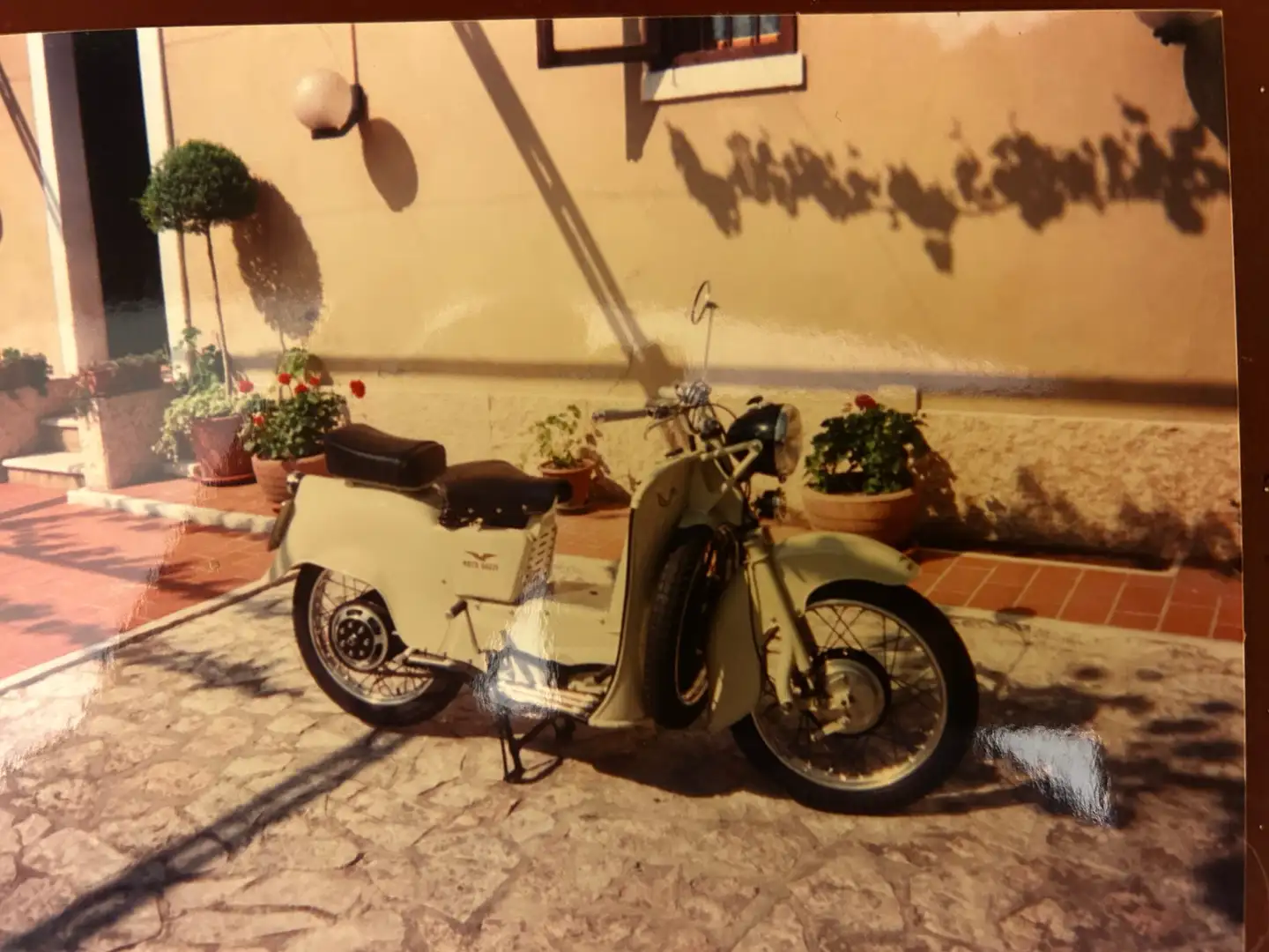 Moto Guzzi Galletto Beige - 2