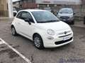 Fiat 500 500 1.0 HYBRID CULT 70CV Bianco - thumbnail 3
