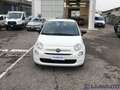 Fiat 500 500 1.0 HYBRID CULT 70CV Bianco - thumbnail 2