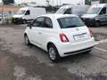 Fiat 500 500 1.0 HYBRID CULT 70CV Bianco - thumbnail 7