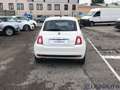 Fiat 500 500 1.0 HYBRID CULT 70CV Bianco - thumbnail 6