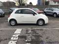 Fiat 500 500 1.0 HYBRID CULT 70CV Bianco - thumbnail 4
