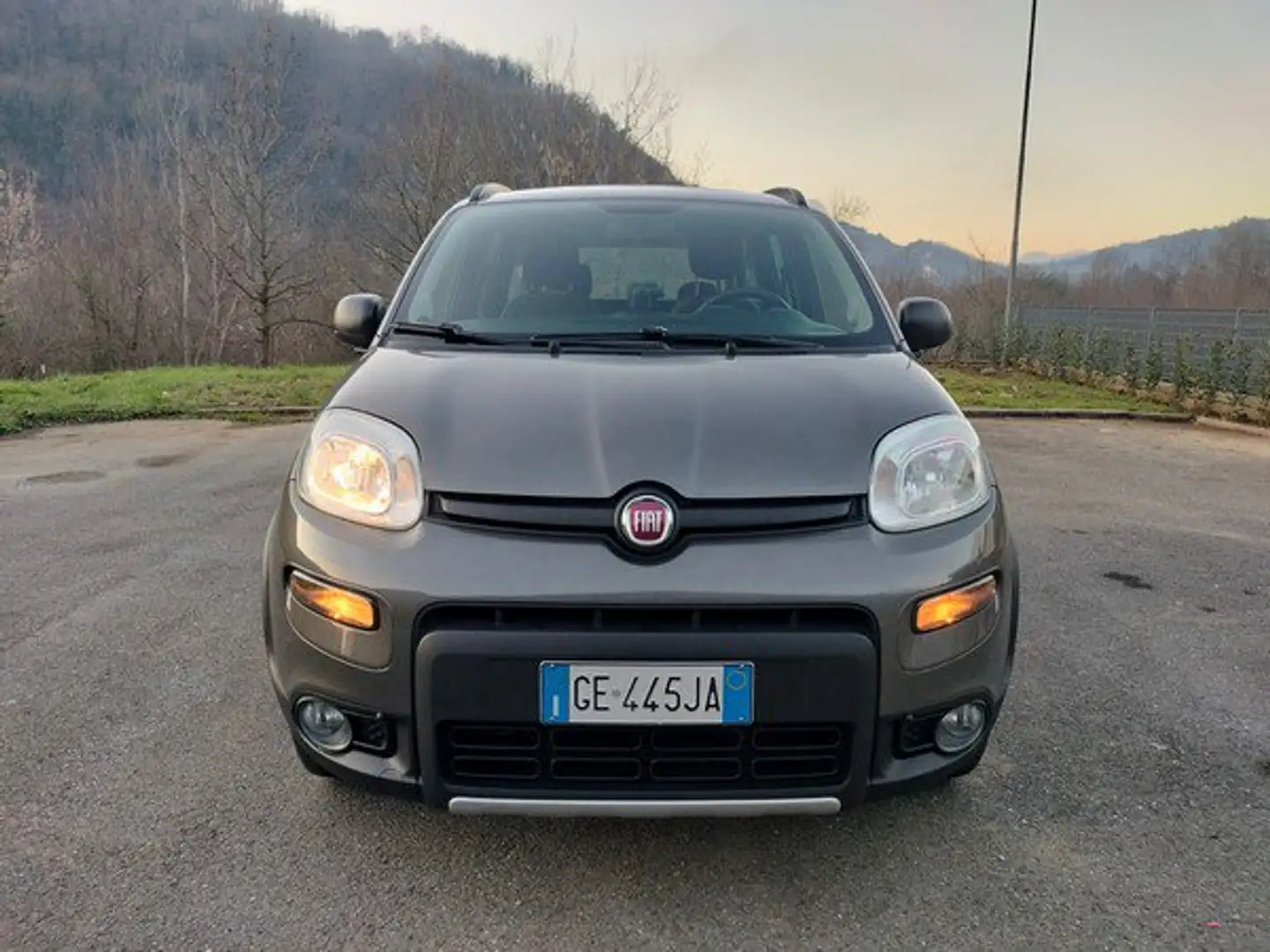 Fiat Panda Panda 0.9 TwinAir Turbo S&S 4x4 Wild Gris - 2