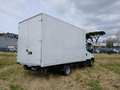 Iveco Daily 35C14 2.3 HPT PC-RG Cabinato Blanc - thumbnail 6