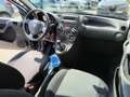 Fiat Panda Panda 1.2 4x4 Climbing Argento - thumbnail 12