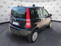 Fiat Panda Panda 1.2 4x4 Climbing Argento - thumbnail 6
