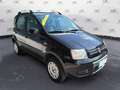 Fiat Panda Panda 1.2 4x4 Climbing Argento - thumbnail 4