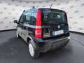 Fiat Panda Panda 1.2 4x4 Climbing Argento - thumbnail 8