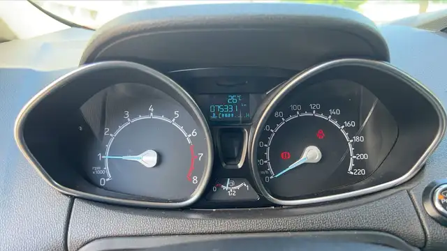 Ford Ecosport view 12