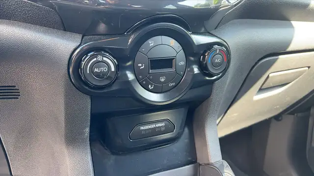 Ford Ecosport view 13