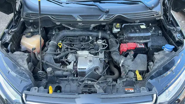 Ford Ecosport view 15