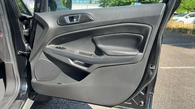 Ford Ecosport view 24