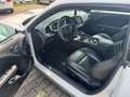 Dodge Challenger Challenger AutomatikR/T Shaker Weiß - thumbnail 21