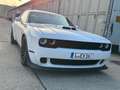 Dodge Challenger Challenger AutomatikR/T Shaker Weiß - thumbnail 6