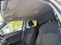 Nissan Juke DIG-T 6MT 115PS Acenta Kamera NAVI Freisp. Wit - thumbnail 29