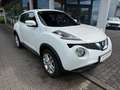 Nissan Juke DIG-T 6MT 115PS Acenta Kamera NAVI Freisp. Wit - thumbnail 1