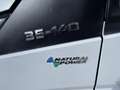 Iveco 35S14N pickup open laadbak / CNG / vaste prijs rij Wit - thumbnail 5